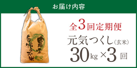 【定期便3回】【令和8年産 新米】福岡県産ブランド米元気つくし 玄米 30kg×3回 _  元気つくし 30kg お届け回数 3回 定期便 福岡県産 ブランド米 新米 福岡生まれ 品種 香り豊か ふっくら 食感 ご飯 おにぎり 弁当 お米 食品 お取り寄せ 九州 久留米市産 福岡県 久留米市 送料無料  〔Tk118-03〕