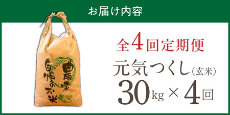【定期便4回】【令和8年産 新米】福岡県産ブランド米元気つくし 玄米 30kg×4回 _  元気つくし 30kg お届け回数 4回 定期便 福岡県産 ブランド米 新米 福岡生まれ 品種 香り豊か ふっくら 食感 ご飯 おにぎり 弁当 お米 食品 お取り寄せ 九州 久留米市産 福岡県 久留米市 送料無料  〔Tk118-04〕