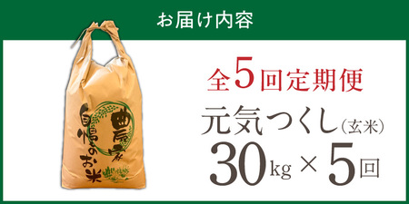 【定期便5回】【令和8年産 新米】福岡県産ブランド米元気つくし 玄米 30kg×5回 _  元気つくし 30kg お届け回数 5回 定期便 福岡県産 ブランド米 新米 福岡生まれ 品種 香り豊か ふっくら 食感 ご飯 おにぎり 弁当 お米 食品 お取り寄せ 九州 久留米市産 福岡県 久留米市 送料無料  〔Tk118-05〕