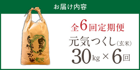【定期便6回】【令和8年産 新米】福岡県産ブランド米元気つくし 玄米 30kg×6回 _  元気つくし 30kg お届け回数 6回 定期便 福岡県産 ブランド米 新米 福岡生まれ 品種 香り豊か ふっくら 食感 ご飯 おにぎり 弁当 お米 食品 お取り寄せ 九州 久留米市産 福岡県 久留米市 送料無料  〔Tk118-06〕