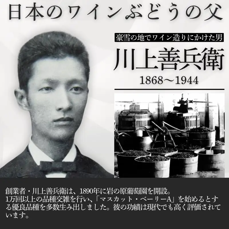 ワイン サクラアワード2024 ロゼワイン賞 ダブルゴールド 岩の原ワイン 善 ロゼ 1本 720ml お酒 岩の原 酒 新潟 上越  最短3日で発送