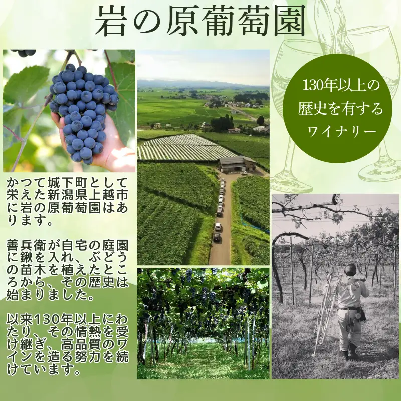 ワイン サクラアワード受賞 善スパークリングワイン ロゼ 2本 750ml スパークリング 酒 新潟 上越 最短3日で発送