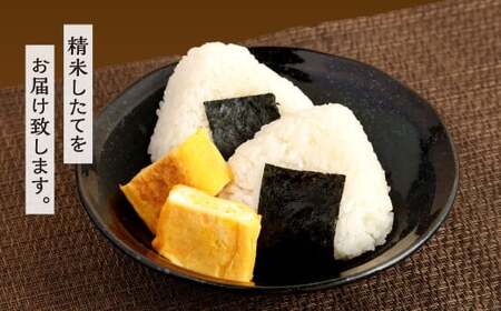 【令和7年産】 精米 食味鑑定士厳選 夢つくし 10kg（5kg×2袋） 米 こめ コメ お米 単一原料米