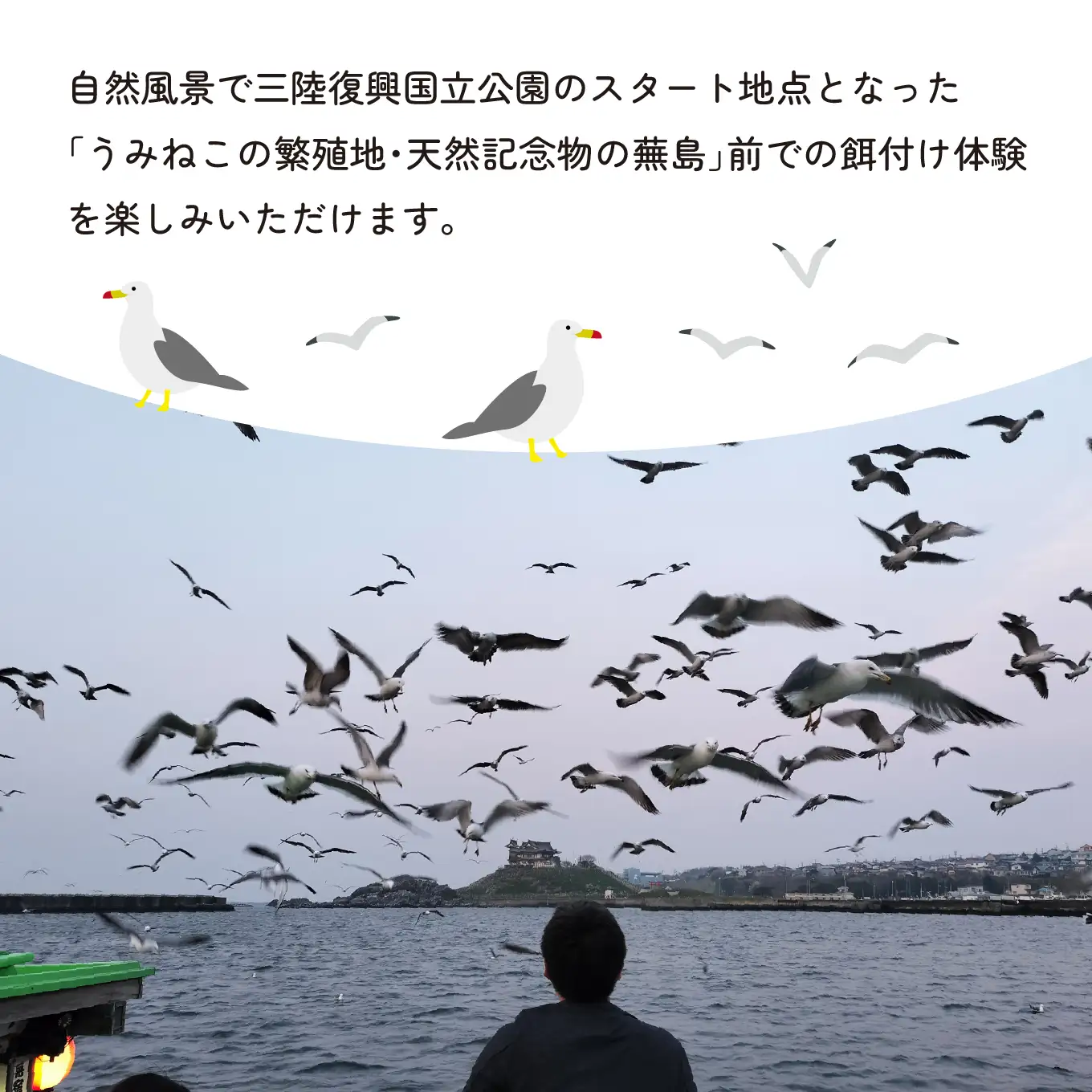 ブルーカンパニー 新井田丸 ＜青森県で唯一の屋形船＞  八戸港内工場夜景＆ディナー・クルーズ【お料理：松プラン、夜】 チケット 20名分 新鮮魚介類と地酒  御膳料理 刺身船盛 飲み放題付き 青森県 八戸市