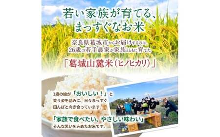 玄米 先行予約 ※3ヶ月定期便※ 葛城山麓米 ヒノヒカリ（玄米）10kg ×3ヶ月 令和8年産 【2026年11月・12月・1月発送】【smlk-tkb009】