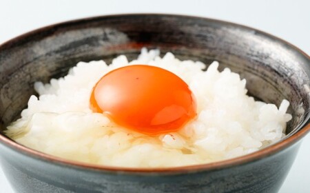 熊本県天草市で生まれたブランド卵「天草タマンゴ」6個入 ／ 化粧箱×3回 計18個 化粧箱入 【3ヶ月連続定期便】 卵 たまご タマゴ 生卵 生たまご 卵黄 卵 定期便 3回 熊本県 天草市 