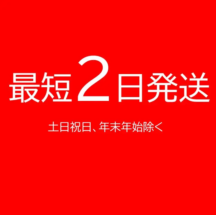 清見2022 マグナム6本 9L 最短申込みから2日発送 北海道ワイン 北海道池田町 十勝ワイン