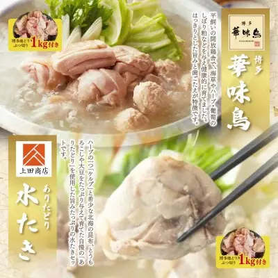 Z08-91 寄附額改定↓↓ 博多名物　水炊き定期便【隔月定期便（年6回発送）】水炊き