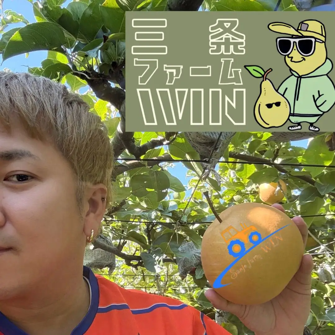 【2026年先行予約】幸水 約3kg 和梨 秀品 人気品種 新潟県産 三条ファームWIN