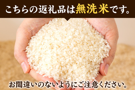 ＜令和8年産 新米受付＞ 米 あきたこまち【無洗米】5kg 秋田県大仙市産 精米 令和8年産