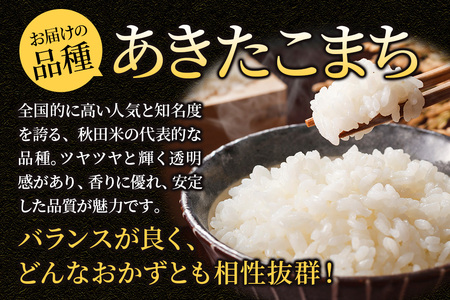 《令和8年産 新米受付》《定期便8ヶ月》あきたこまち【白米】 米どころ秋田県大仙市産 精米 10kg（5kg×2袋）