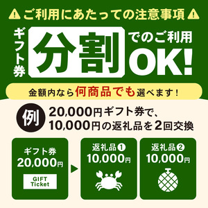 坂井市 あとからセレクト 【ふるさとギフト：300,000円】 [gift-012]