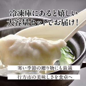 【餃子】スープ 餃子 1袋 博多豚骨｜惣菜 冷凍食品 茨城県 行方市(HJ-9)