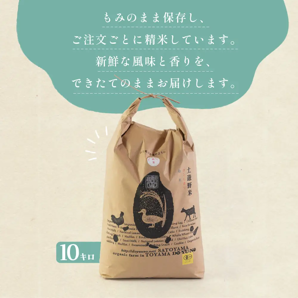 有機米 コシヒカリ 10kg　棚田-tanata-（有機JAS認証米） 米 白米 精米