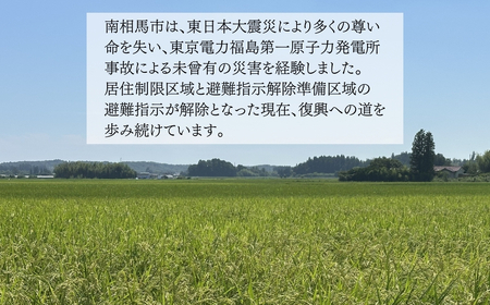 JAS有機米 コシヒカリ 玄米 10kg | 令和7年産 渡部有機農園
