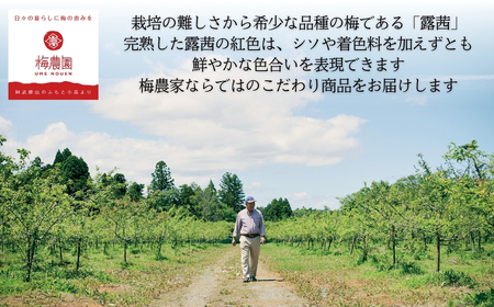 梅農園ドリンクノーマル 180ml×6本 手提箱入り ｜ 梅ジュース フルーツジュース 相馬アグリ