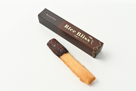 個包装フィナンシェ 米粉フィナンシェ Rice Bliss 10本セット ホワイトショコラ ダークショコラ 各5本 /// フィナンシェ 米粉 洋菓子 おすすめ ふるさと納税 返礼品 人気の品 お礼の品 寄付