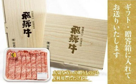 飛騨高山の誇り 飛騨牛 サーロインステーキ用 300ｇ×2枚飛騨牛 ステーキ PS004 　