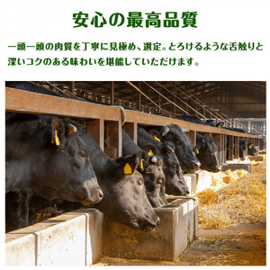 近江牛 すき焼き 食べ比べセット（薄切りカルビ・カタロース）計1kg ギフト しゃぶしゃぶ｜滋賀県野洲市 お取り寄せ グルメ ご当地 肉 お肉 にく 牛 牛肉 ビーフ 近江牛 和牛 すき焼き 食べ比べ セット 薄切りカルビ カタロース｜