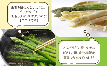 秀品 アスパラセット 計2kg ホワイトアスパラ 2L 3L グリーンアスパラ L 各1kg アスパラ アスパラガス 野菜 新鮮 旬の野菜 朝採れ フレッシュ お取り寄せ グルメ 春野菜 贈り物 送料無料 北海道産 美深町