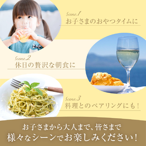 輪島市産ワイン用ブドウ100%使用！ぶどうジュース　紅白２本セット wa011-007