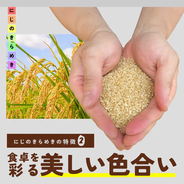 【ふるなびWEEK対象】玄米 米 5kg にじのきらめき FH-014