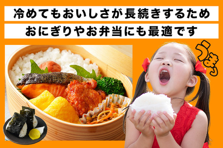米 にじのきらめき 精米 5kg 3ヵ月 定期便 (合計15kg)  FH-017