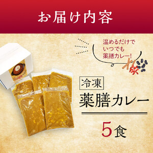 冷凍薬膳カレー　5食入り