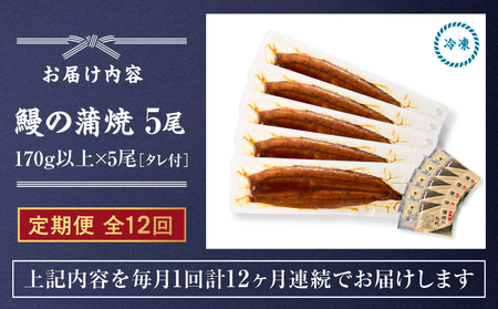 【 全12回 定期便 】 鰻 の 蒲焼 5尾（170g×5） KN026-T09 うなぎ 惣菜 総菜 魚