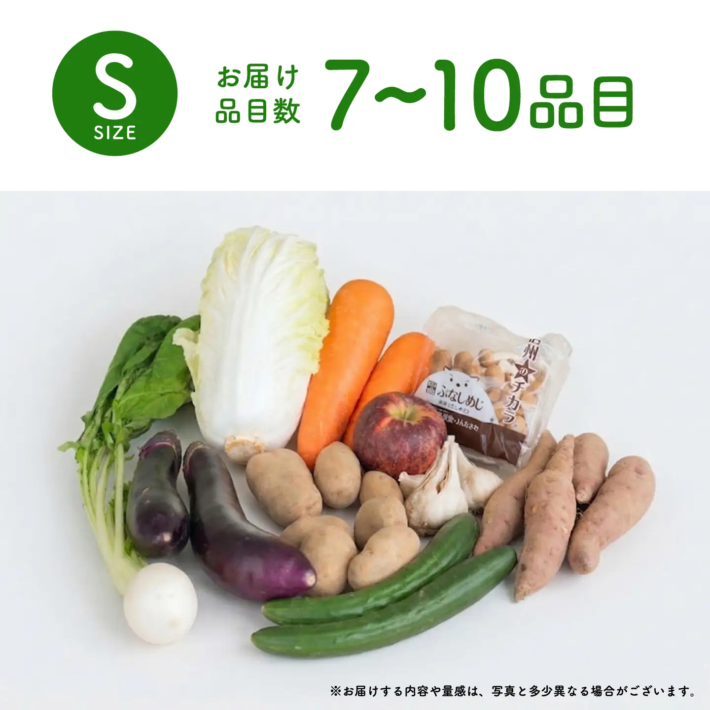 ＜ロスヘル＞多数のメディアで紹介されました！【訳あり】旬のもったいないお野菜詰め合わせセット　Sサイズ