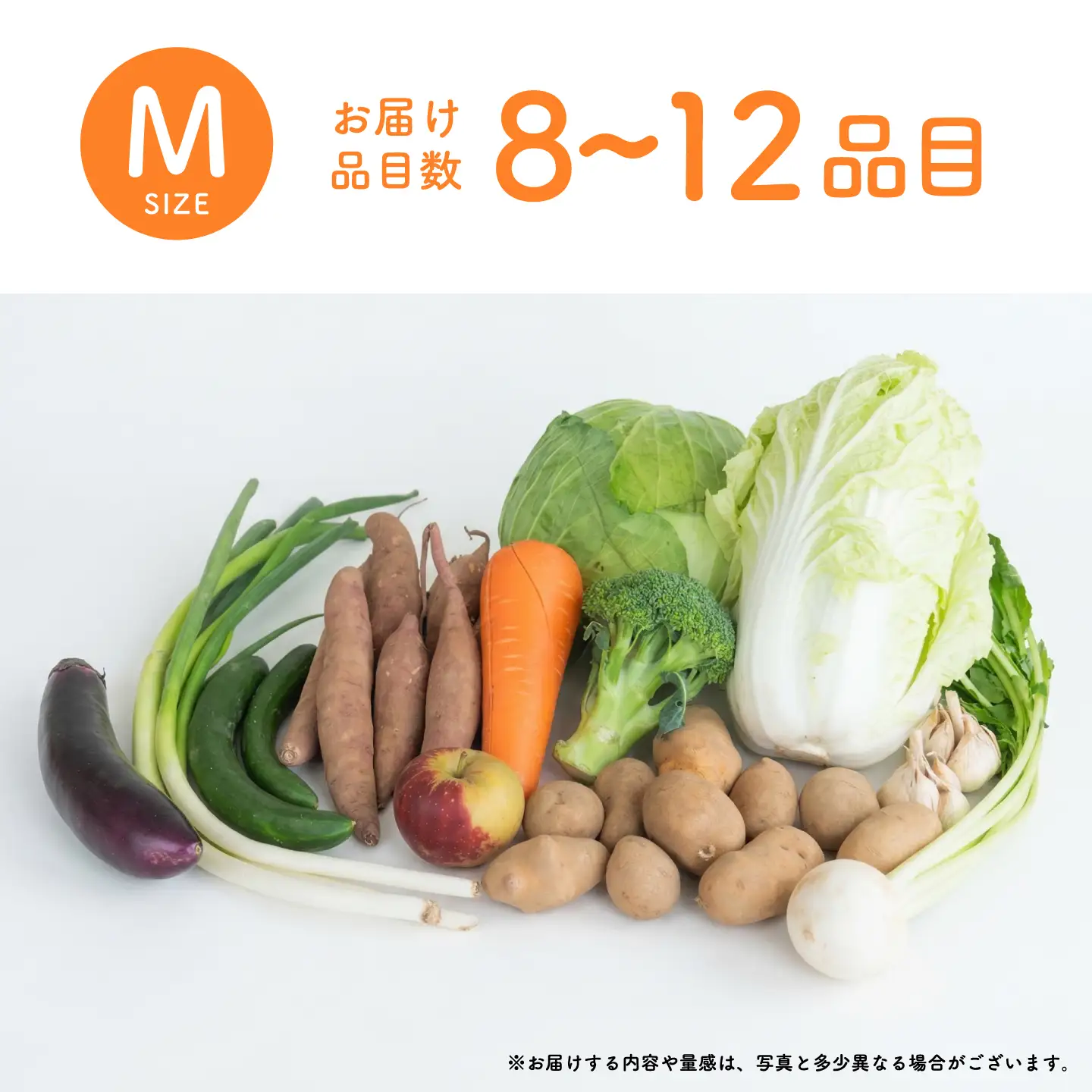 ＜ロスヘル＞多数のメディアで紹介されました！【訳あり】旬のもったいないお野菜詰め合わせセット　Mサイズ