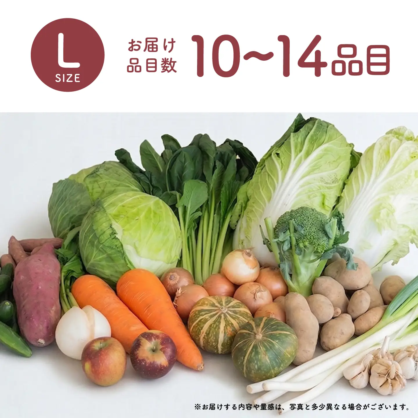 ＜ロスヘル＞多数のメディアで紹介されました！【訳あり】旬のもったいないお野菜詰め合わせセット　Lサイズ