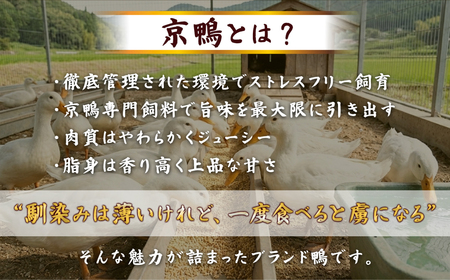 京鴨鍋セット 京鴨 国産 合鴨 チェリバレー種ギフト 贈り物 【kt107-001】