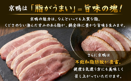 贅沢な味わい【京鴨ロースのスープカレー】2人前　ミシュラン東京が選んだお店の国産・京鴨のロースを使ったスープカレー 【kt107-002】