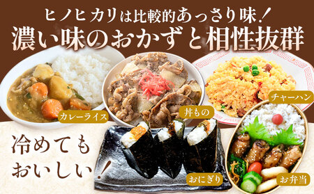 【6ヶ月定期便】令和7年産 精米 七城のこめ 5kg《30日以内に出荷予定(土日祝除く)》熊本県 菊池市 米 白米 ヒノヒカリ でんすけ農場