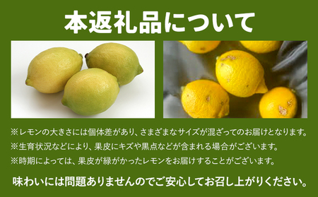 訳あり レモン 3kg《10月上旬-12月下旬頃出荷)》熊本県 津奈木町 青果物 レモン れもん 果物 フルーツ 国産 家庭用