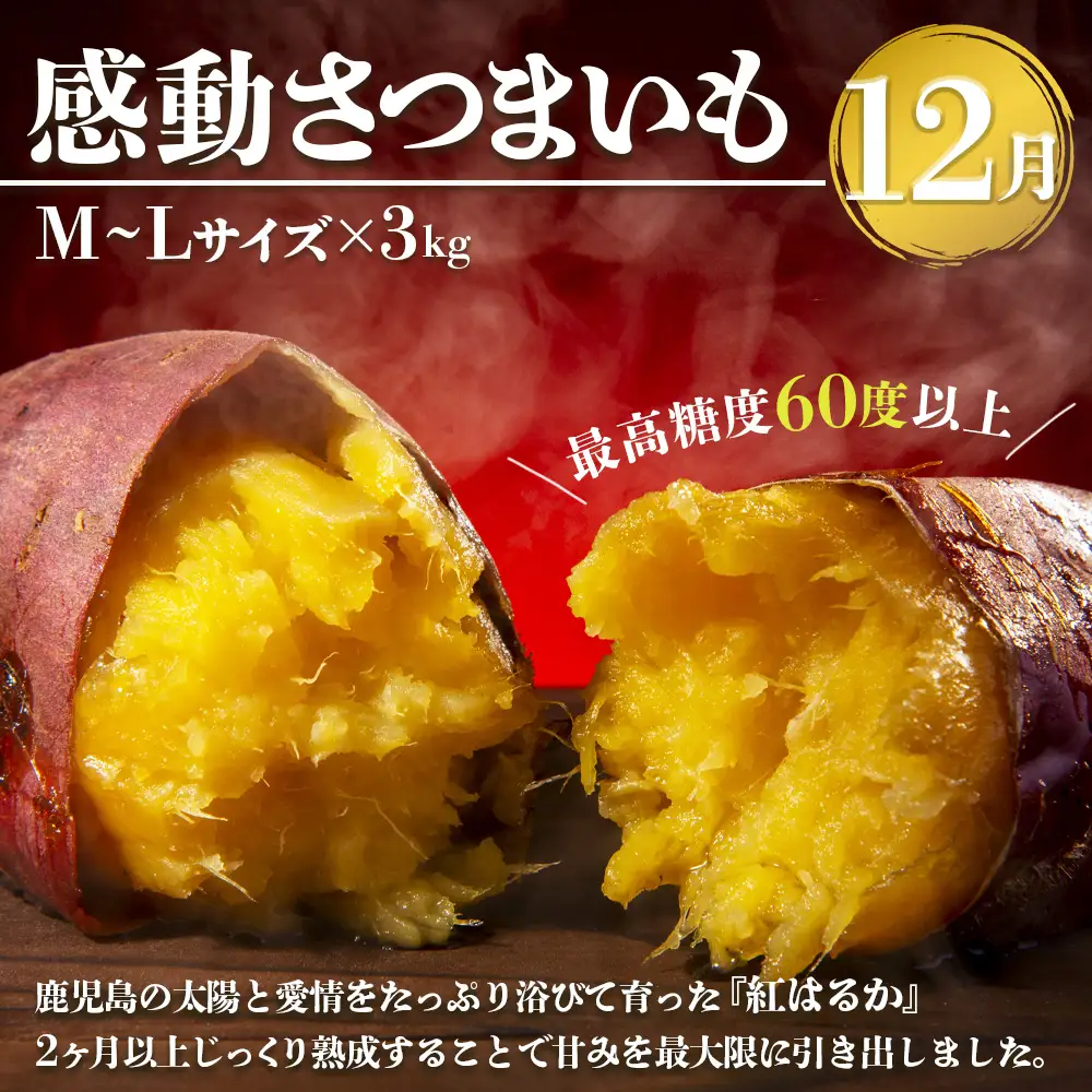 【定期便・年4回】農家の感動シリーズA(約9.1kg) FR-1｜冷凍焼き芋 ゴールドラッシュ とうもろこし 塩茹で 落花生 おおまさり ピーナッツ 芋 さつまいも 紅はるか 野菜定期便 旬 産地直送 サラダ 南大隅町