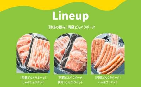 【年3回連続定期便】 スザンヌが選ぶ熊本ギフト どんぐりポーク 定期便3ヶ月 ／ 3回定期便 豚肉 ウィンナー 粗挽きウィンナー チーズ チョリソー ベーコン ボンレスハム お肉 肉 スザンヌ 定期便 九州 熊本県 冷凍