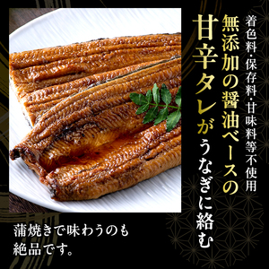 うなぎ 浜名湖 国産 長 白焼 2尾 小分け セット 浜名湖うなぎ 白焼き 浜名湖産 国産うなぎ 惣菜 おかず ギフト 贈答 贈答用 贈答品 土用の丑の日 丑の日 ウナギ 鰻 蒲焼き うなぎ蒲焼 真空パック 冷蔵 冷蔵配送 静岡 静岡県 浜松市 配送不可：離島