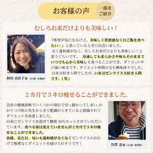 ゼンライス 60g × ８袋 伊豆河童 こんにゃく米 低糖質米 低糖質 こんにゃく米 ゼンライス 健康食品 ごはん 糖質カット カロリーカット 置き換え こんにゃく ダイエット 糖質制限 小分け 蒟蒻米 低糖質米 グルテンフリー マンナン 低脂質