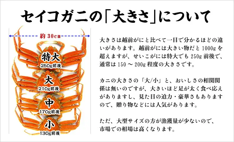 せいこがに 甲羅盛り 3個入り [024-a050]