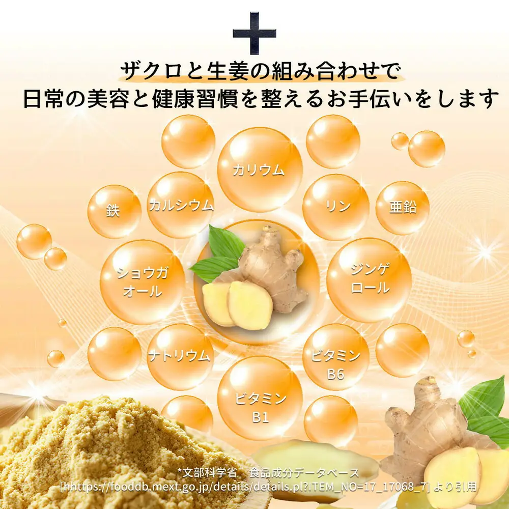魅惑ザクロ GINGER Boost(福岡市返礼品)【3袋入り】