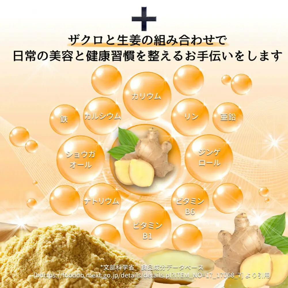 魅惑ザクロ GINGER Boost(福岡市返礼品)【12袋入り】