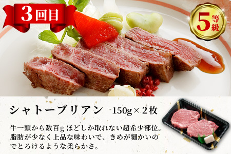 最高等級 5等級限定 飛騨牛3回定期便 すき焼き しゃぶしゃぶ ステーキ シャトーブリアン 厚切りステーキ ロース ロースステーキ ローススライス 希少部位 贅沢 3ヶ月 定期 定期便 飛騨 飛騨牛 牛 肉 和牛 黒毛和牛 ブランド牛 養老ミート
