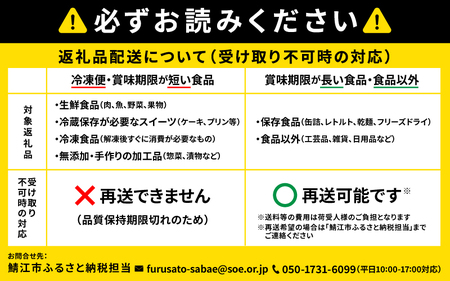 めがねのまちさばえ”より～優しい包まれる安心感『オールタイムサングラス（ チタン／チタンＦ）』男性用　ブラウン
