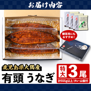 【B57006】特大うなぎ 蒲焼 有頭 (3尾 計555g以上 タレ・山椒付) 鹿児島 国産 大隅産 鰻 蒲焼き【一般社団法人きもつき宇宙協議会】