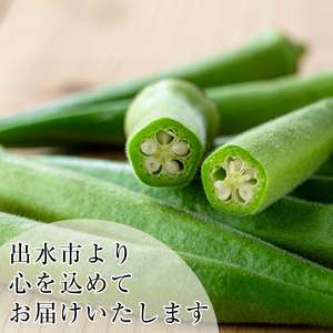 いずみ産 丸 オクラ 600g 【イーサイドライン】 i1215-A