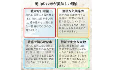 【令和7年産】 あけぼの 5kg×2袋 計10kg 精米 【2026年8月下旬まで発送予定】 お米 米 コメ ご飯 ごはん ゴハン 白ご飯 白米 アミロース 2袋