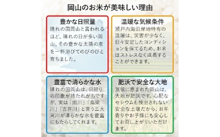 【令和7年産】 にこまる 5kg×4袋 計20kg 精米 【2026年8月下旬まで発送予定】 お米 米 コメ ご飯 ごはん ゴハン 白ご飯 白米 4袋 モチモチ ツヤツヤ
