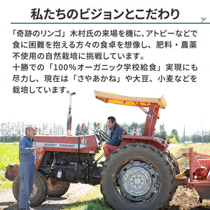 北海道 十勝 幕別 自然栽培 希少品種「大袖の舞」オーガニック大豆で作ったきな粉 500g（100g×5）［折笠農場］有機JAS 【 きな粉 きなこ 化学農薬不使用 国産 オーガニック 希少 ヨーグルト 離乳食 赤ちゃん 香ばしい 】